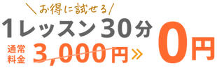 お得に試せる！1レッスン30分0円！